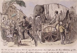 &39;Um velho cavalheiro, ansioso para que sua esposa possuísse alguma coisa da Grande Exposição de 1851, comprou (entre outras coisas) o elefante empalhado e o modelo do dodô&39;, atraído por Punch.